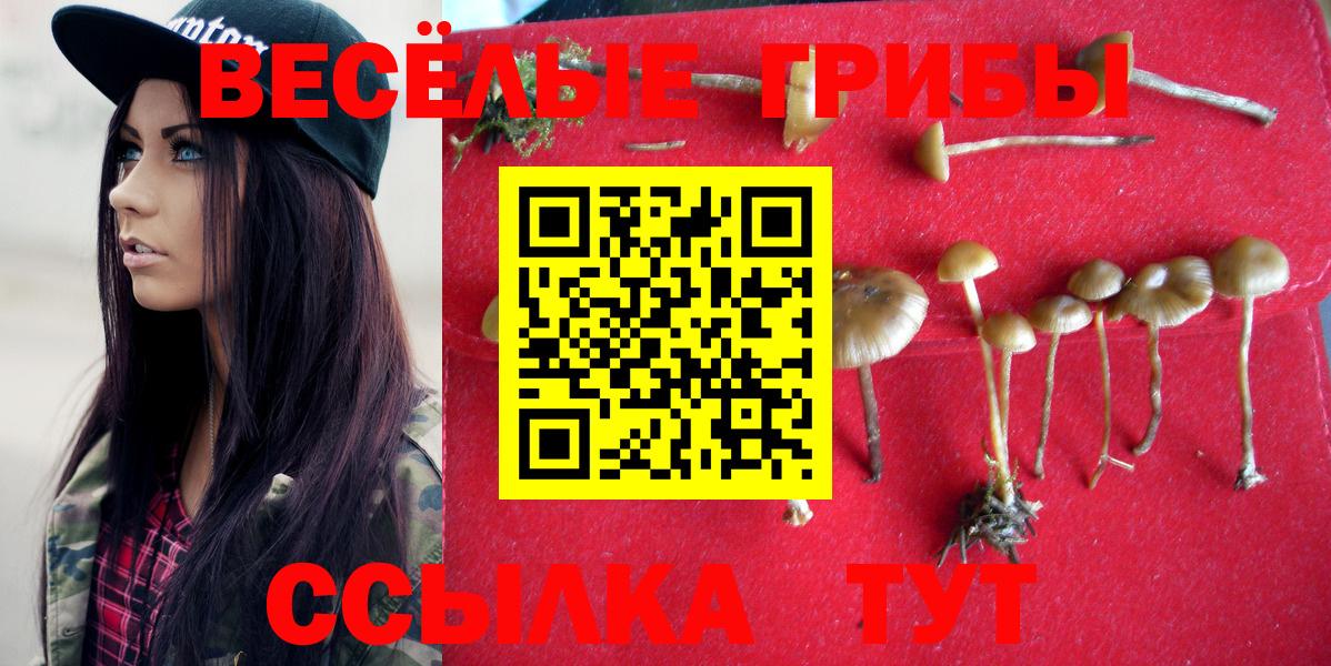 Псилоцибиновые грибы мухоморы  Галлюциногенные грибы Magic Shrooms  Вход с VPN  Дальнереченск 